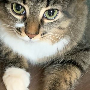 Meet your Posher, Osa